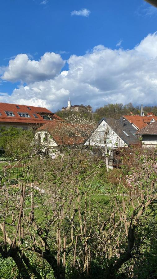 Arto Castle View Apartment Ljubljana Eksteriør bilde